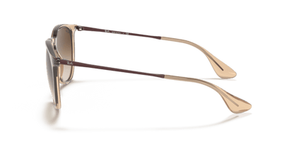Transparent Brown - 0RB4171 8056597369381