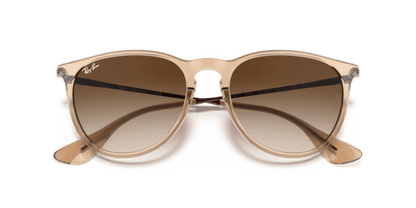 Transparent Brown - 0RB4171 8056597369381