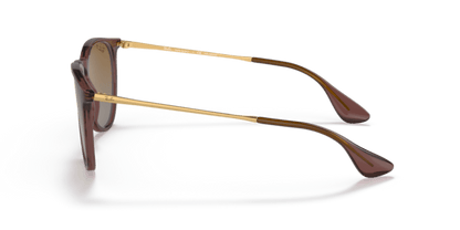 Transparent Dark Brown - 0RB4171 8056597616720