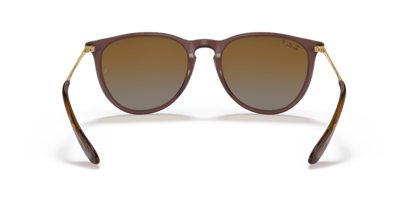 Transparent Dark Brown - 0RB4171 8056597616720