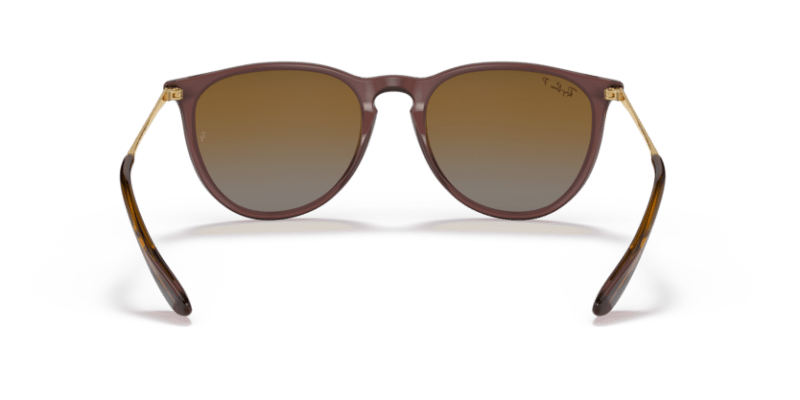 Transparent Dark Brown - 0RB4171 8056597616720