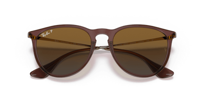 Transparent Dark Brown - 0RB4171 8056597616720