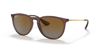 Transparent Dark Brown - 0RB4171 8056597616720