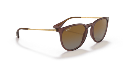 Transparent Dark Brown - 0RB4171 8056597616720