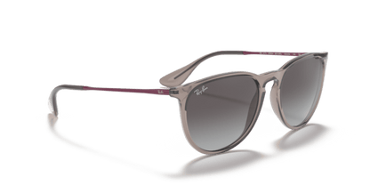 Transparent Grey - 0RB4171 8056597369374