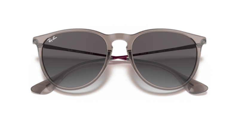 Transparent Grey - 0RB4171 8056597369374