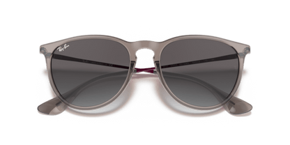 Transparent Grey - 0RB4171 8056597369374