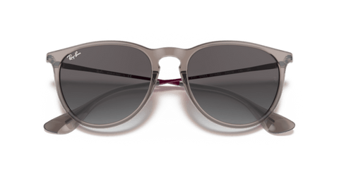 Transparent Grey - 0RB4171 8056597369374