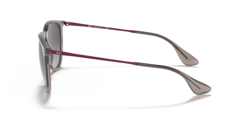 Transparent Grey - 0RB4171 8056597369374