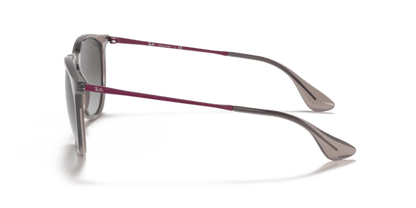 Transparent Grey - 0RB4171 8056597369374