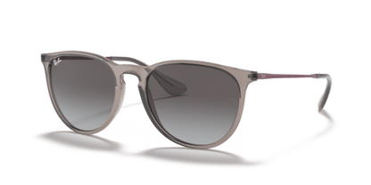 Transparent Grey - 0RB4171 8056597369374