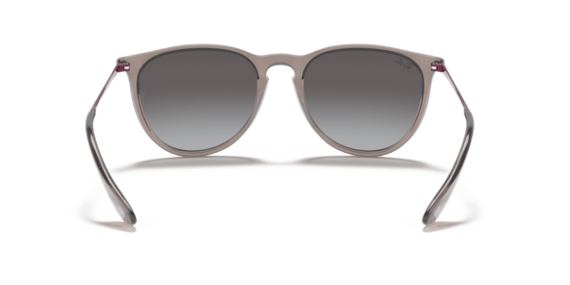 Transparent Grey - 0RB4171 8056597369374