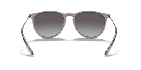 Transparent Grey - 0RB4171 8056597369374