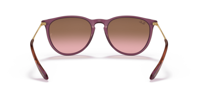 Transparent Violet - 0RB4171 8056597616706