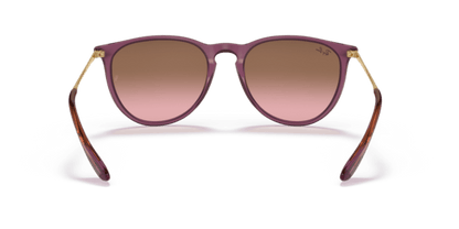 Transparent Violet - 0RB4171 8056597616706