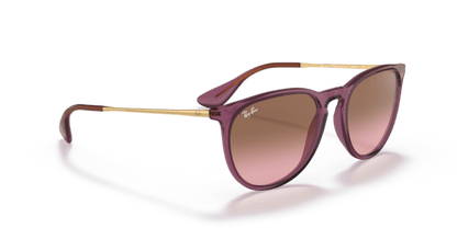 Transparent Violet - 0RB4171 8056597616706