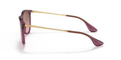 Transparent Violet - 0RB4171 8056597616706