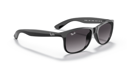 Black - 0RB4202 8053672467215