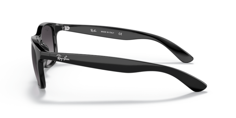 Black - 0RB4202 8053672467215