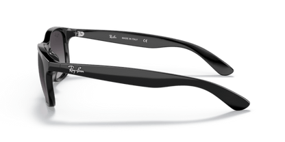 Black - 0RB4202 8053672467215