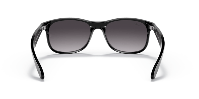 Black - 0RB4202 8053672467215