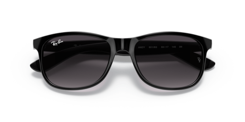 Black - 0RB4202 8053672467215