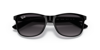 Black - 0RB4202 8053672467215