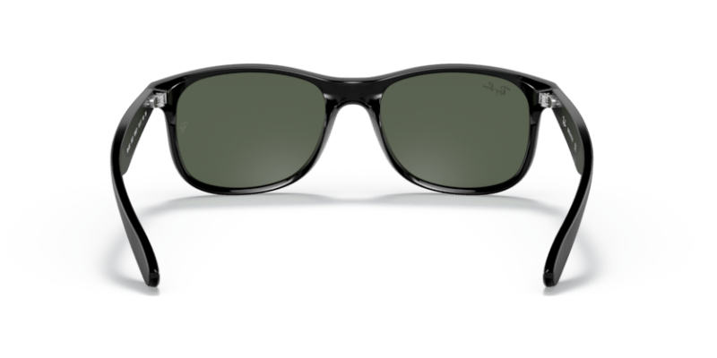 Black - 0RB4202 8053672188868