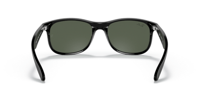 Black - 0RB4202 8053672188868