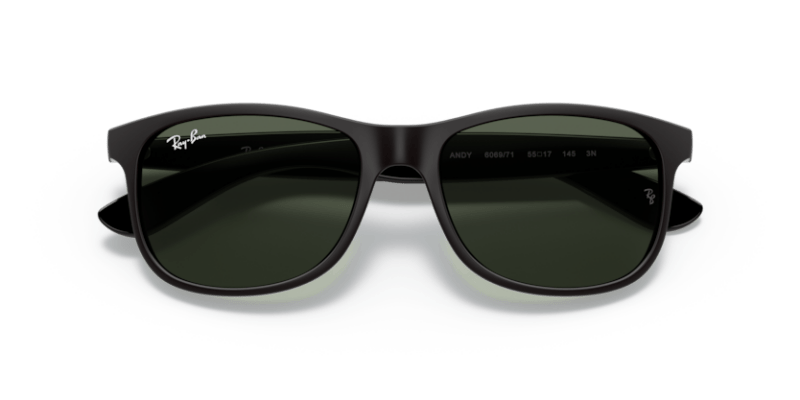 Black - 0RB4202 8053672188868