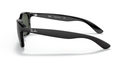 Black - 0RB4202 8053672188868