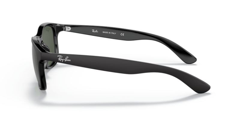 Black - 0RB4202 8053672188868