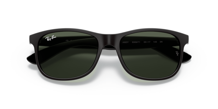 0RB4202 - Ray - Ban - (Black) Green - 55 - 17 - 145 MM - Ardor Eyewear 8053672188868