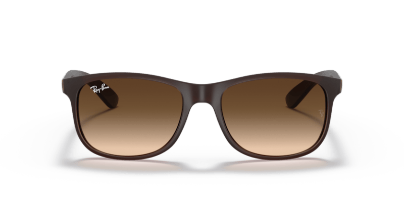 Brown - 0RB4202 8053672188905