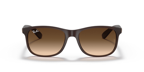 Brown - 0RB4202 8053672188905