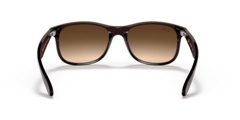 Brown - 0RB4202 8053672188905