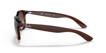 Brown - 0RB4202 8053672188905