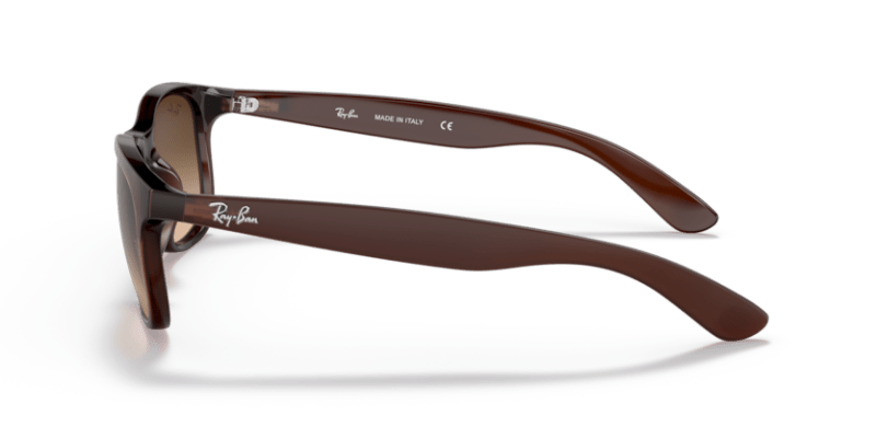 Brown - 0RB4202 8053672188905