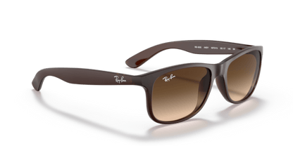 Brown - 0RB4202 8053672188905