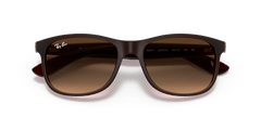 0RB4202 - Ray - Ban - (Brown) Brown Gradient - 55 - 17 - 145 MM - Ardor Eyewear 8053672188905