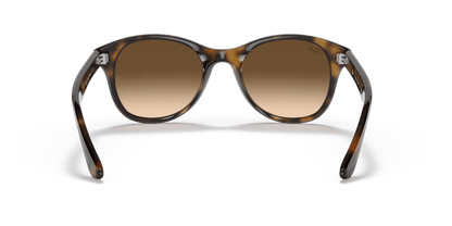 Light Havana - 0RB4203 8053672561630