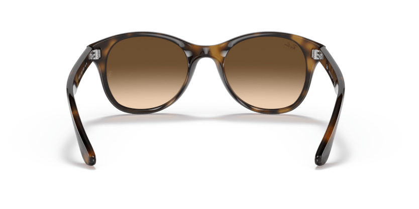 Light Havana - 0RB4203 8053672561630