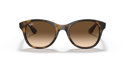 Light Havana - 0RB4203 8053672561630