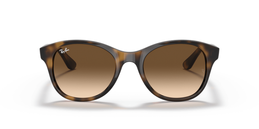 Light Havana - 0RB4203 8053672561630