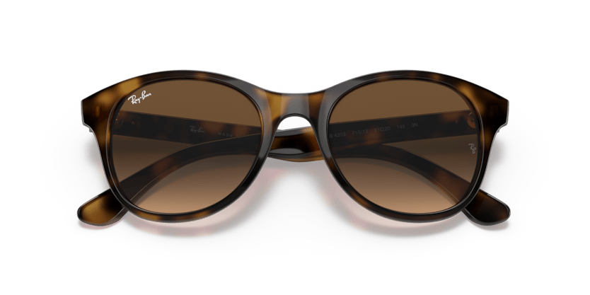 Light Havana - 0RB4203 8053672561630