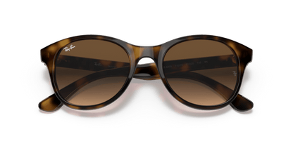 Light Havana - 0RB4203 8053672561630