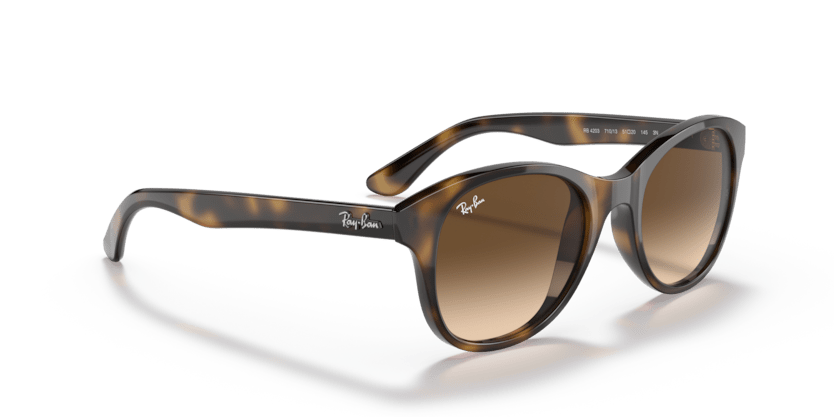 Light Havana - 0RB4203 8053672561630