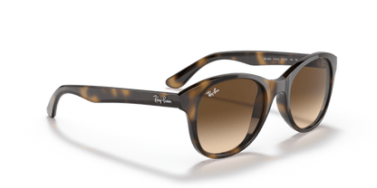 Light Havana - 0RB4203 8053672561630