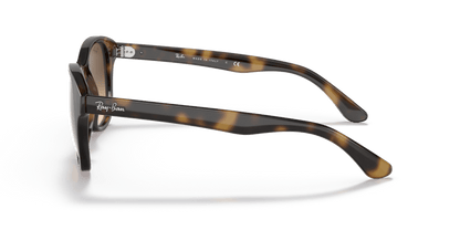 Light Havana - 0RB4203 8053672561630