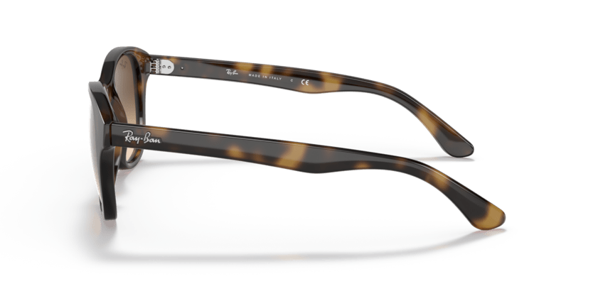 Light Havana - 0RB4203 8053672561630